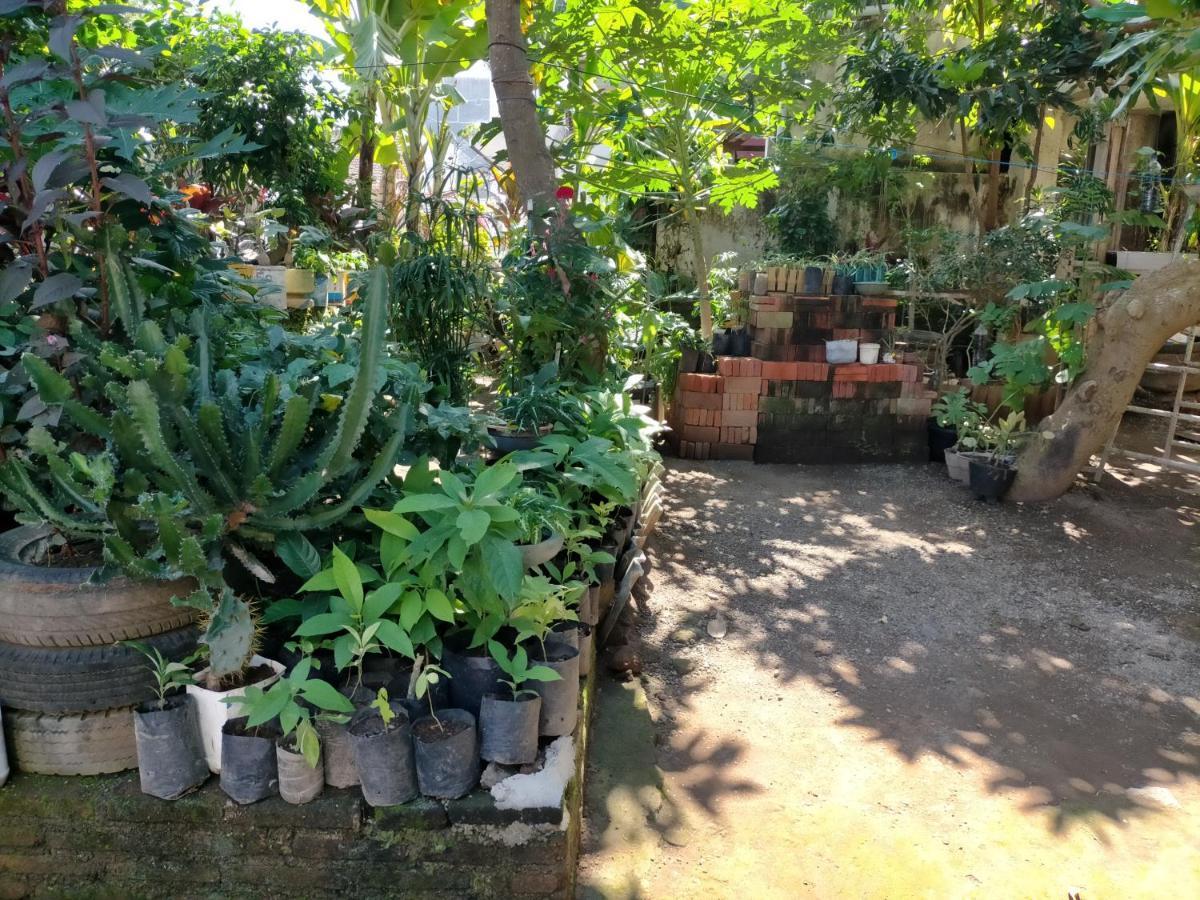 Cheap Inn Banyuwangi Banyuwangi  Εξωτερικό φωτογραφία